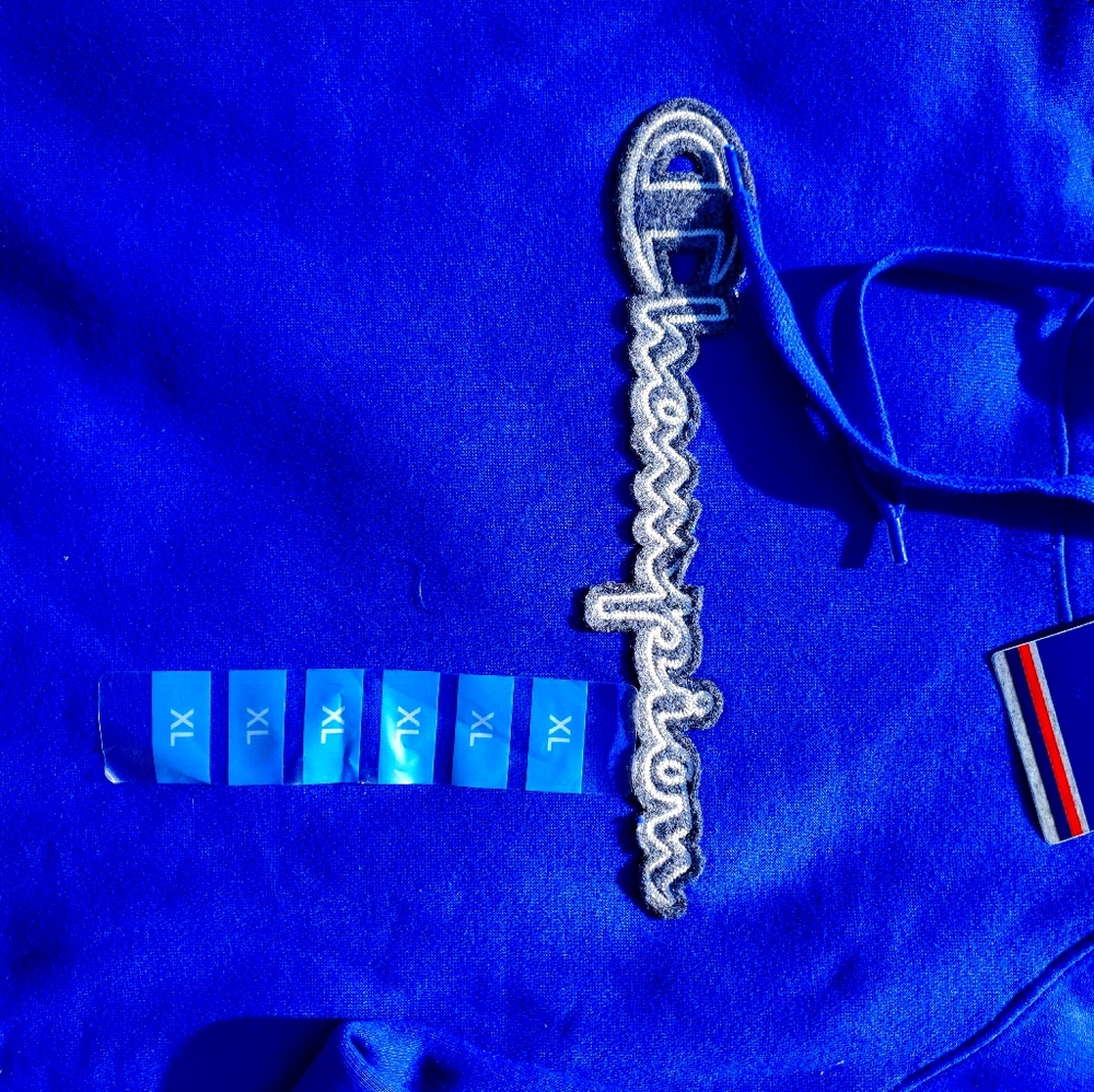 Champion hoodie blue nwt